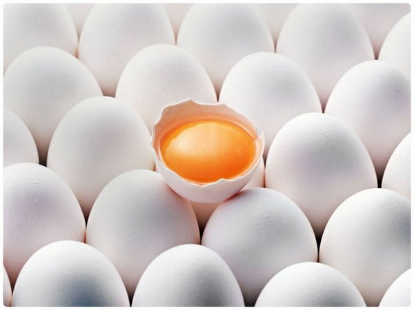 Чрезмерное употребление куриных яиц вредно для здоровья